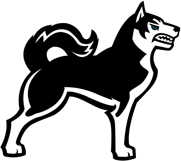 Northeastern Huskies 2001-2006 Alternate Logo v3 iron on transfers for fabric